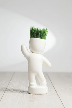 Набор для выращивания Funky