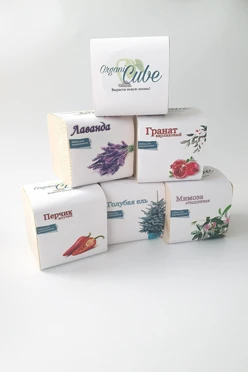 Куб для выращивания растения