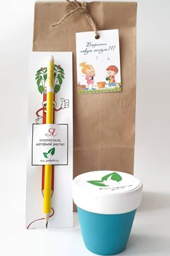 Набор с карандашом и с голубым горшком