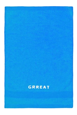 Полотенце махровое 40х70 см с вышивкой (Color), голубое