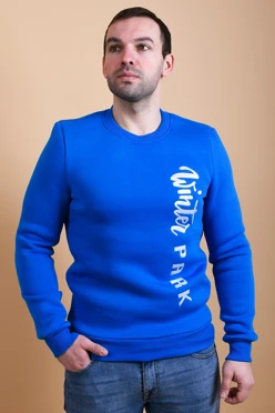 Свитшот Тревис из футера унисекс, однотонная "Winter park"