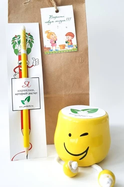 Набор с карандашом и горшком смайлик