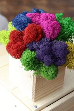 Стабилизированный мох в деревянном кубе большой