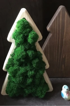 Ёлка со стабилизированным мхом, 20х30 см